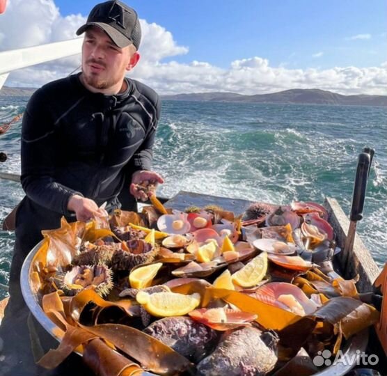 Путешествие в Териберку