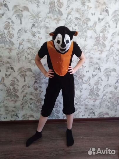 Костюм бурундука