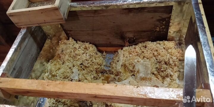 Мед разнотравье 2023 г