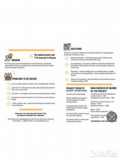 Графический дизайнер иллюстратор