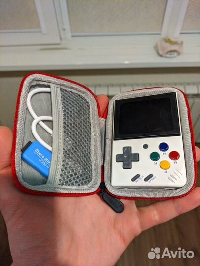 Miyoo Mini v2 (64gb Samsung)