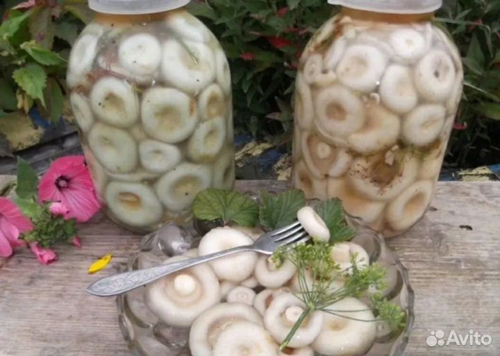 Грузди белые соленые