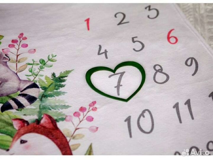 Фотоплед по месяцам для фотосессии малыша