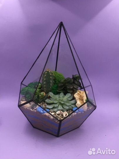 Любимому учителю