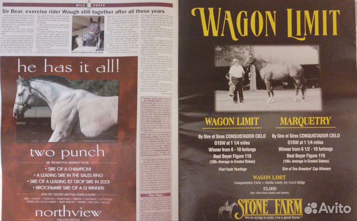 Газеты на английском