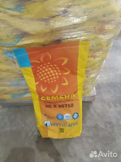 Семена подсолнечника гибрид