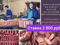 Грузчик на мясокомбинат Вахта Краснодарский край