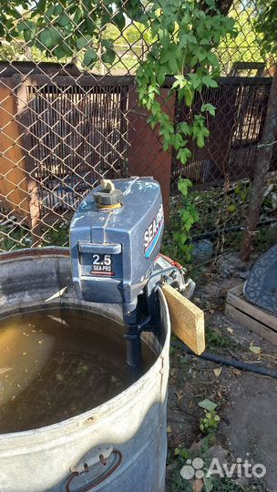 Лодочный мотор Сиа про 2.5