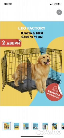 Клетка для кошек и собак в аренду