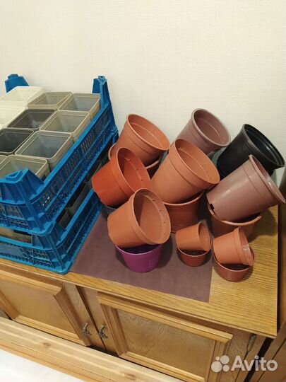 Для рассады горшки бу