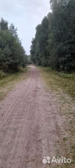 Покос травы, кустарников любой сложности