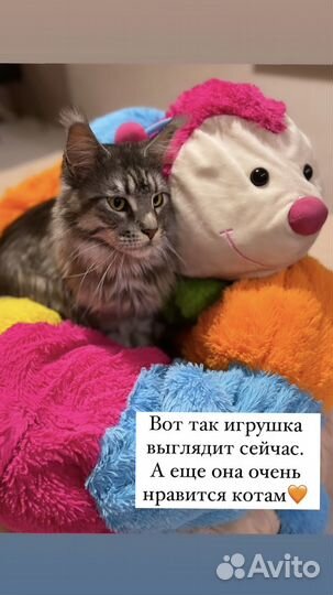 Мягкая игрушка 2.5 метра (подушка для беременных)