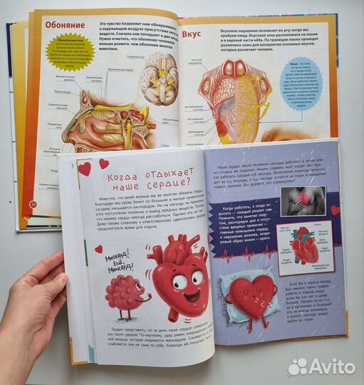 Детские Энциклопедии в картинках, книги с окошками