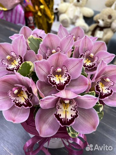 Орхидея/Цимбидиум/Букет/Композиция/Доставка