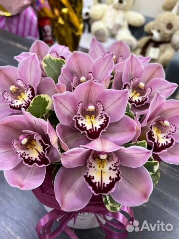 Орхидея/Цимбидиум/Букет/Композиция/Доставка