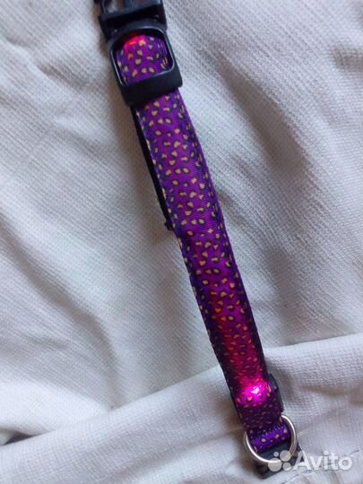 Новый светодиодный ошейник