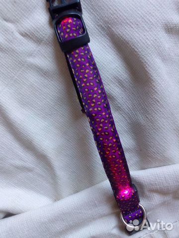 Новый светодиодный ошейник