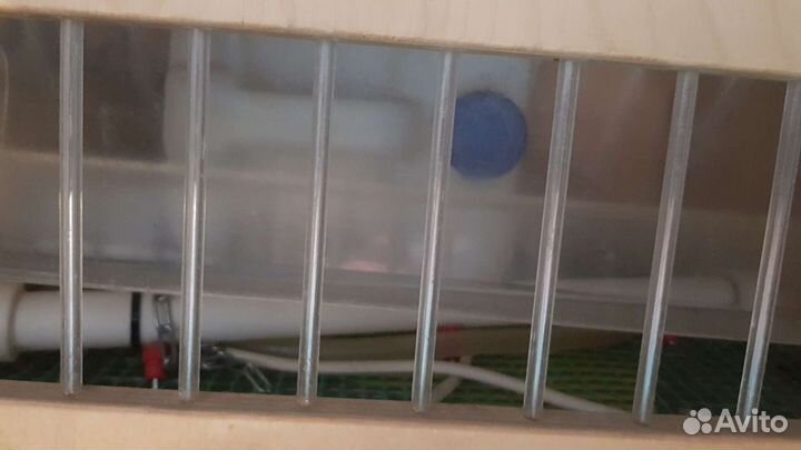 Клетка брудер для цыплят