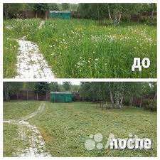 Покос травы, камыша