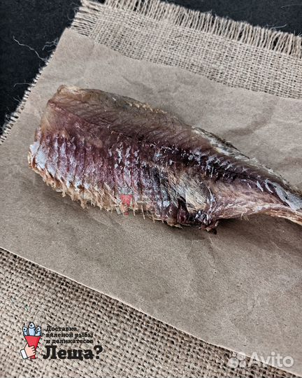 Сорожка сорога рыба