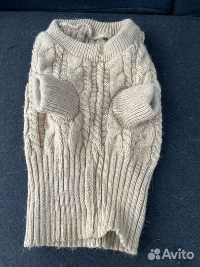 Одежда для собак