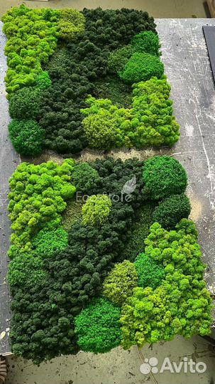 Панно из мха светлого и темного