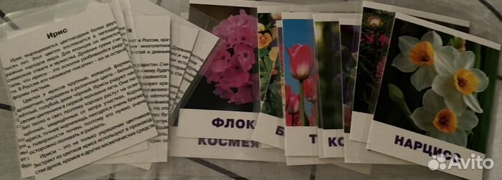 Логопедические/развивающие карточки
