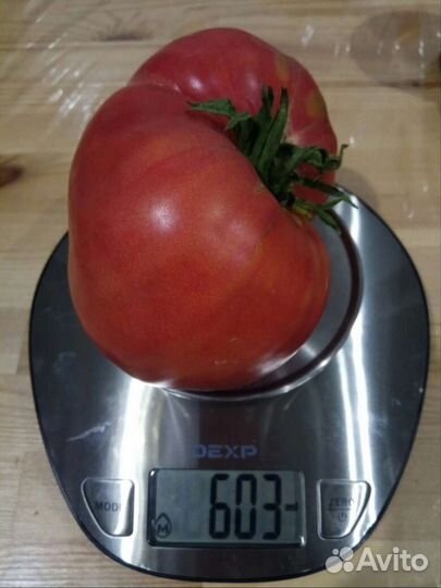 Семена томатов