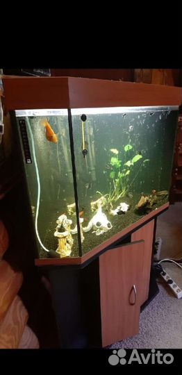 Аквариум