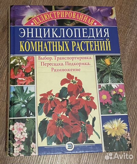 Энциклопедия комнатных растений