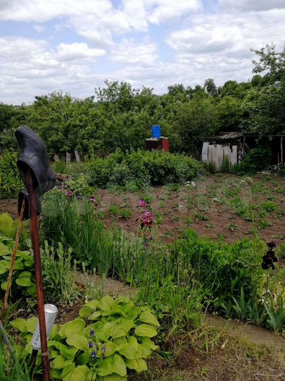 Дача 40 м² на участке 6 сот.