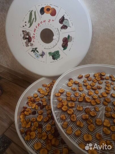 Сушилка для овощей и фруктов ветерок 2