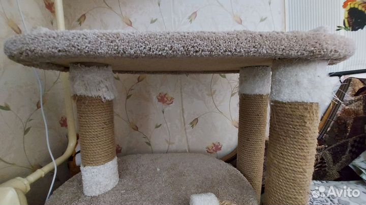 Когтеточка с домиком для крупных пород б/у