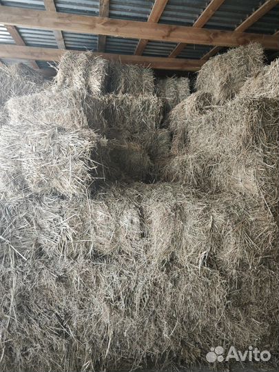 Сено люцерна