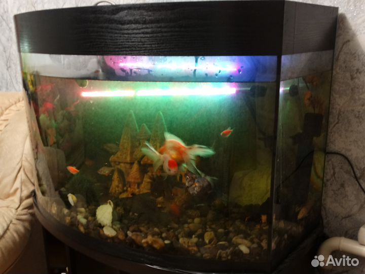 Аквариум на 150 и 120 литров