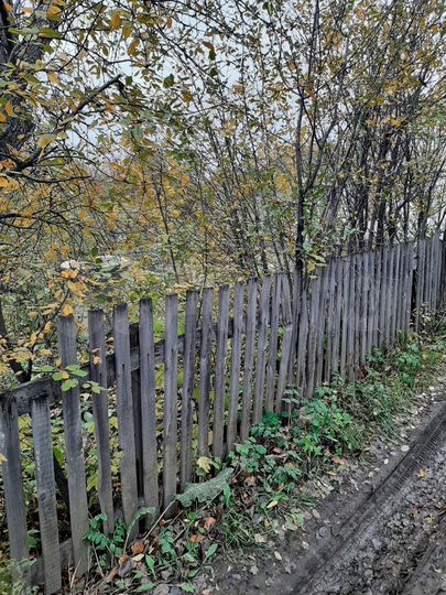 Участок 4,1 сот. (СНТ, ДНП)