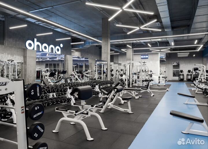 Безлимитная карта в фитнес клуб с бассейном