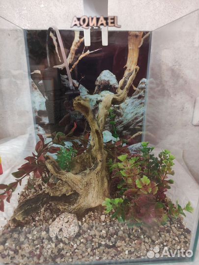 Аквариум 19л