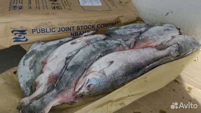 Рыба свежемороженая. Кета и горбуша