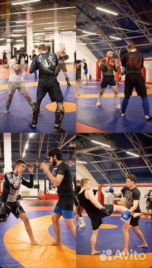 Тренер по мма