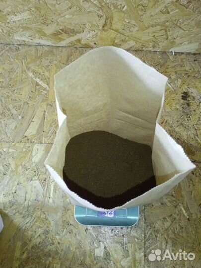 Чага березовая от сборщика