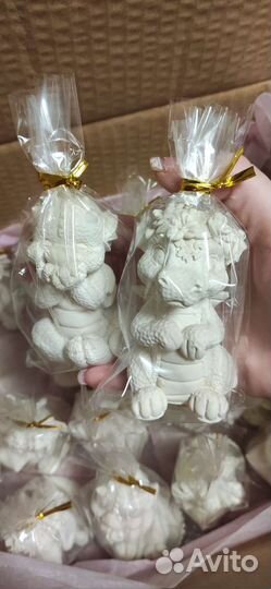 Символ 2024 года