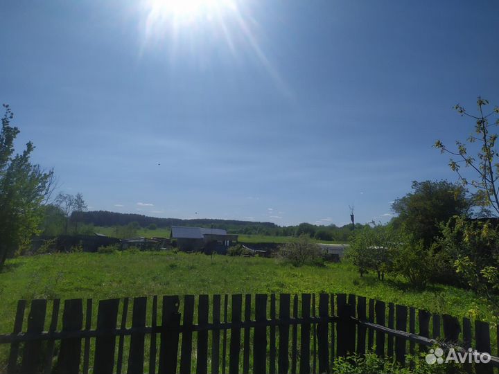 Апидомик с пчелами под ключ, пчелы, пасека