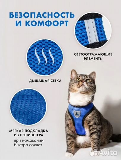 Шлейка+поводок