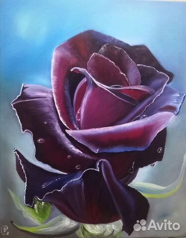 Картина маслом роза Черный принц