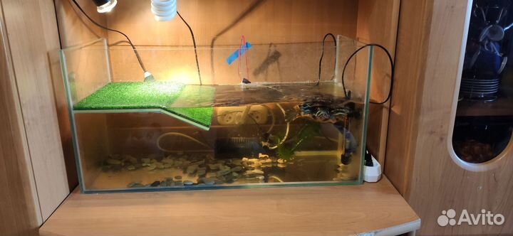 Аквариум черепашник