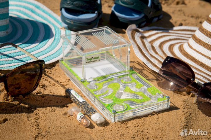 Ферма с муравьями / Формикарий