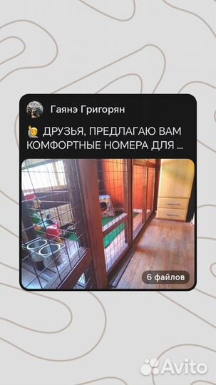 Зоопередержка и зоотакси