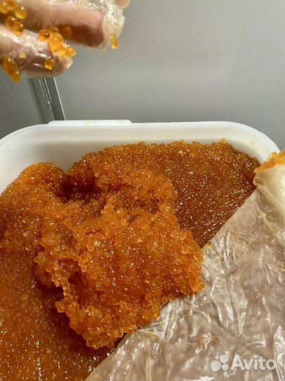 Красная икра горбуши