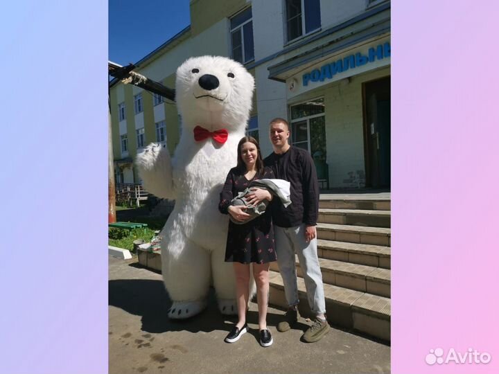 Белый мишка поздравление